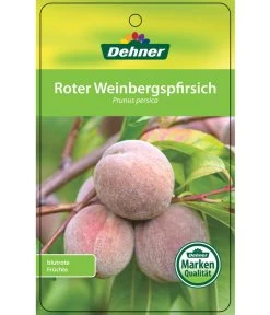 Dehner Pfirsich 'Roter Weinbergpfirsich' -Gardena Store 7745607 RoterWeinbergpfirsich Etikett 1