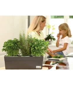GREENBAR® Ersatzvlies, 3er-Pack -Gardena Store 7750482 PR MO 003 GreenbarAnleitungIndoorSeidl