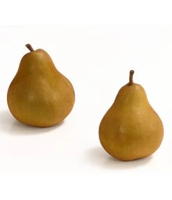 Winterbirne 'Uta' 5 Winterbirne 'Uta' -Gardena Store 7769854 WE DE 003 BirneUtaDehnerExpressHerzig