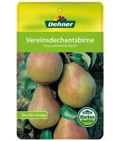 Herbstbirne 'Vereinsdechant' -Gardena Store 7772064 BirneVereinsdechant Etikett 1