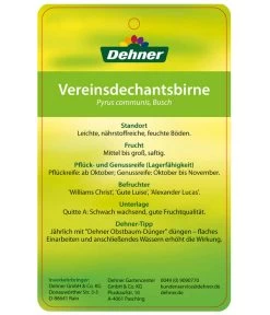 Herbstbirne 'Vereinsdechant' -Gardena Store 7772064 BirneVereinsdechant Etikett 2