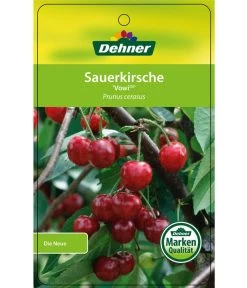 Sauerkirsche 'Vowi' -Gardena Store 7773757 SauerkirscheVowi Etikett 1