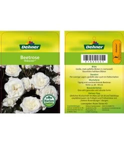 Edelrosen-Mix 'Nostalgie®' 24 Edelrosen-Mix 'Nostalgie®' -Gardena Store 7800063 AlabasterBeetrose Etikett1