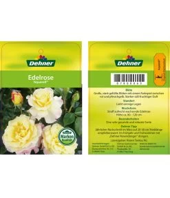 Edelrosen-Mix 'Nostalgie®' 25 Edelrosen-Mix 'Nostalgie®' -Gardena Store 7800063 AquarellEdelrose Etikett1