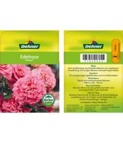 Edelrosen-Mix 'Nostalgie®' 26 Edelrosen-Mix 'Nostalgie®' -Gardena Store 7800063 AshleyEdelrose Etikett1