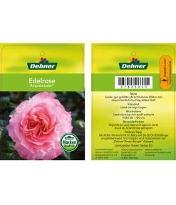 Edelrosen-Mix 'Nostalgie®' 27 Edelrosen-Mix 'Nostalgie®' -Gardena Store 7800063 AugustaLuiseEdelrose Etikett1