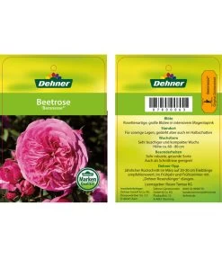 Edelrosen-Mix 'Nostalgie®' 28 Edelrosen-Mix 'Nostalgie®' -Gardena Store 7800063 BaronesseBeetrose Etikett1