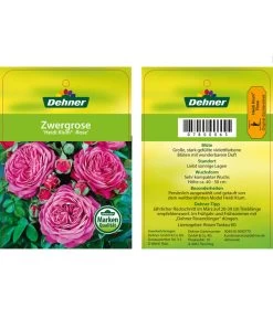 Edelrosen-Mix 'Nostalgie®' 30 Edelrosen-Mix 'Nostalgie®' -Gardena Store 7800063 HeidiKlumZwergrose Etikett1