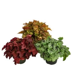 Purpurglöckchen-Set Buntes Glück, 3-teilig