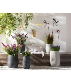 Neu eingetroffen -Gardena Store 8092108 PR MO 005 LavendelLavandulaAngustifoliaT13Schmetterlingsgarten Rosen usw GC14 2020