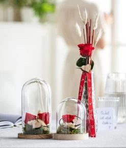 Longlife-Rose Mit Stiel, Rot -Gardena Store 8170151 WE MO 001 LonglifeRoseValentin