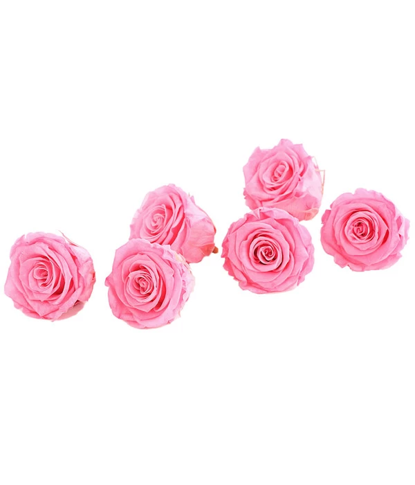 Longlife-Rose, Ca. Ø6 Cm 1 Longlife-Rose, Ca. Ø6 Cm