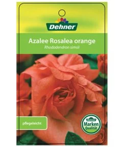Zimmerazalee - Rhododendron Simsii 'Rosalea' -Gardena Store 8206021 AzaleeRosaleaOrangeEtikett1