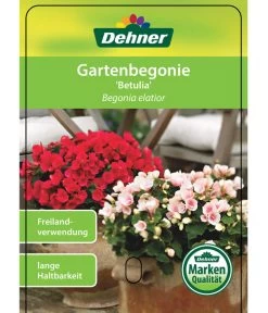 Freiland-Begonie 'Betulia' -Gardena Store 8208845 GartenbegonieBetulia Etikett 01