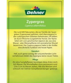 Zypergras - Cyperus Alternifolius -Gardena Store 8218224 Zypergras Etikett 2