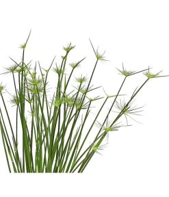 Zypergras - Cyperus Haspan 8 Zypergras - Cyperus Haspan -Gardena Store 8218265 WE DE 001 ZyperngrasCyperusHaspanT12DehnerExpressHerzig