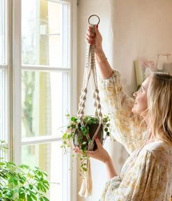 Dehner Makramee-Ampel -Gardena Store 8252173 WE MO 001 PeperomiePepperspotMakrameeAmpel 1