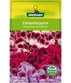 Edelgeranie, Stämmchen -Gardena Store 8585275 Edelpelargonie 04022016 1