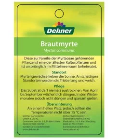 Brautmyrte, Busch -Gardena Store 8590267 BrautmyrtheEtikett2