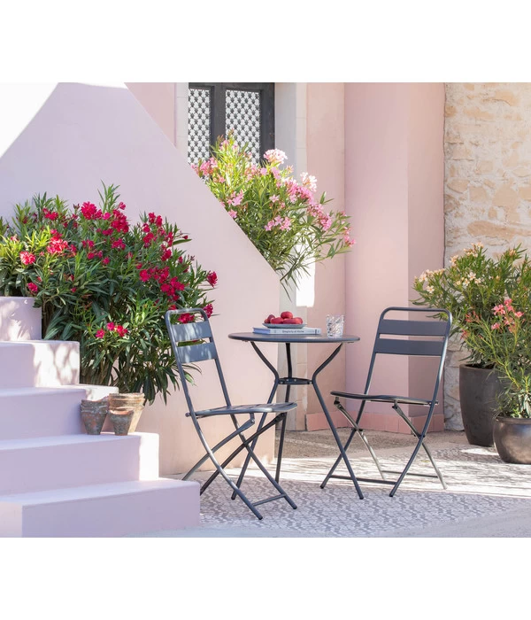 XXL Oleander, Verschiedene Sorten, Ca. 130-150 Cm 3 XXL Oleander, Verschiedene Sorten, Ca. 130-150 Cm – Bild 3