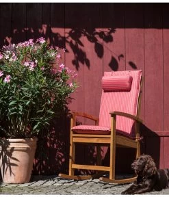 XXL Oleander, Verschiedene Sorten, Ca. 130-150 Cm 9 XXL Oleander, Verschiedene Sorten, Ca. 130-150 Cm -Gardena Store 8596900 WE MO 002 OleanderSolitaerDehnerSchaukelstuhlDakota