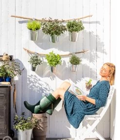 Bio Rosmarin -Gardena Store 8610123 WE MO 001 Oregano Kraeuter 1