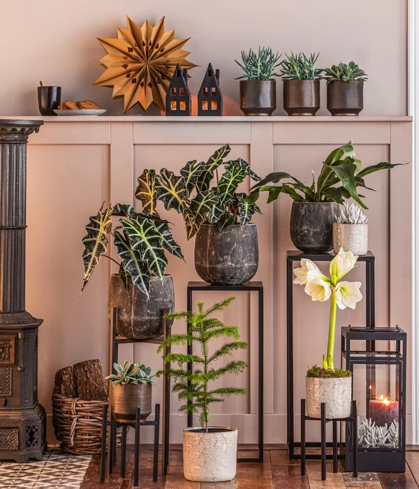 Metall-Pflanzenständer Ascot, Schwarz 3 Metall-Pflanzenständer Ascot, Schwarz – Bild 3