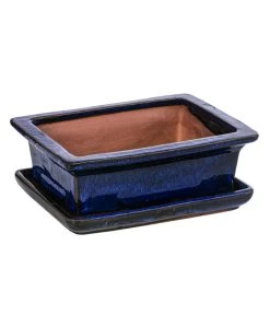 Dehner Keramik-Bonsaischale, Rechteckig, Ca. B18/H6/T14 Cm