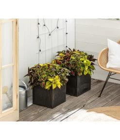 Beet- & Balkonpflanzen-Set Farbexplosion, 6-teilig 15 Beet- & Balkonpflanzen-Set Farbexplosion, 6-teilig -Gardena Store 8800567 PR MO 001 Beet Balkon SetBuntnessel