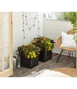 Buntnessel-Trio - Solenostemon Scutellarioides 5 Buntnessel-Trio - Solenostemon Scutellarioides -Gardena Store 8811127 WE MO 001 SolenostemonBuntnesselT13 BestOf 2022 Header Querformt