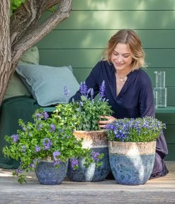 Dehner Keramik-Topf Mystras, Rund, Blau-braun 8 Dehner Keramik-Topf Mystras, Rund, Blau-braun -Gardena Store 8811143 WE MO 001 BlaueMauritius