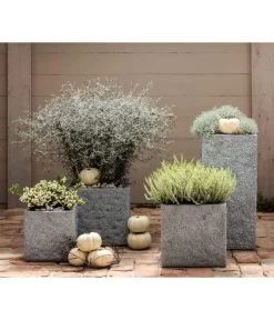 Knospenheide, Verschiedene Sorten -Gardena Store 8811184 7084932 8805913 WE MO 001 Zickzackstrauch Gitterkraut Knospenheide