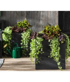 Punktblume 'Hippo', Verschiedene Sorten -Gardena Store 8814147 WE MO 001 GlechomaPlectranthusIpomoeaSolenostemonHippoMix