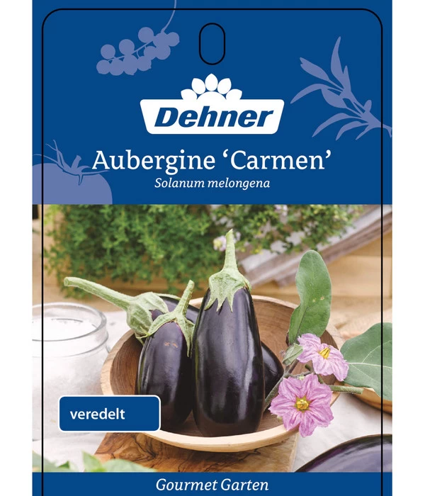 Dehner Gourmet Garten Aubergine, Veredelt 4 Dehner Gourmet Garten Aubergine, Veredelt – Bild 4