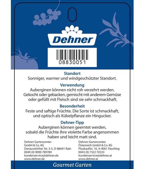 Dehner Gourmet Garten Aubergine, Veredelt 5 Dehner Gourmet Garten Aubergine, Veredelt – Bild 5