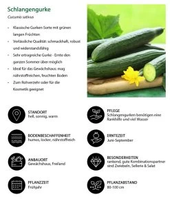 Schlangengurke -Gardena Store 8830788 WE IG 001 Schlangengurke