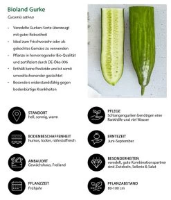 Bioland Gurke, Veredelt 11 Bioland Gurke, Veredelt -Gardena Store 8830853 WE IG 001 BiolandGurke