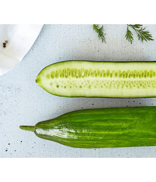 Bioland Gurke, Veredelt 1 Bioland Gurke, Veredelt