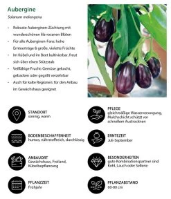 Aubergine -Gardena Store 8831380 WE IG 001 Aubergine