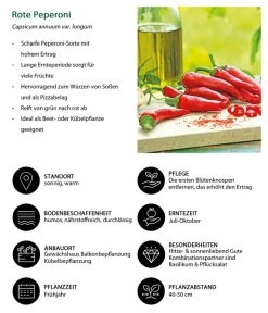 Rote Peperoni, Scharf -Gardena Store 8831687 WE IG 001 RotePeperoni