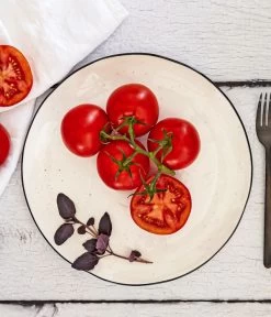 Bioland Buschtomate -Gardena Store 8831968 WE MO 001 BiolandBuschtomate