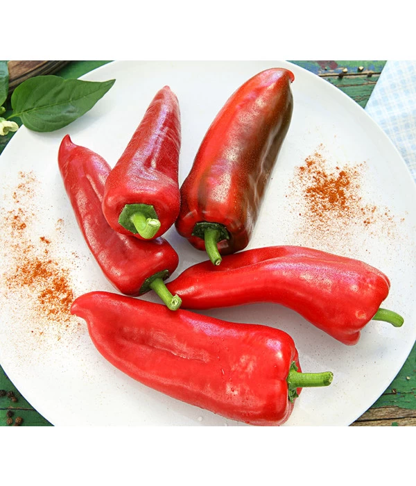 Spitzpaprika, Rot 1 Spitzpaprika, Rot
