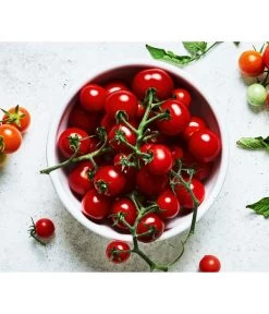 Bioland Cherrytomate 8 Bioland Cherrytomate -Gardena Store 8842635 WE MO 001 Bio Cherrytomate