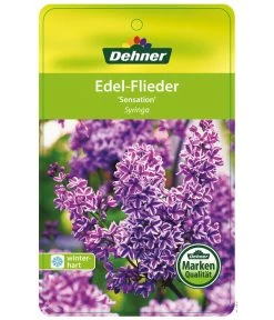 Edelflieder 'Sensation' -Gardena Store EdelFliederSensation Etikett 1