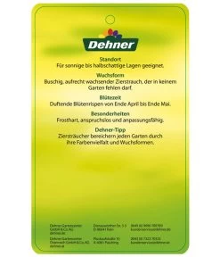 Edelflieder 'Sensation' -Gardena Store EdelFliederSensation Etikett 2