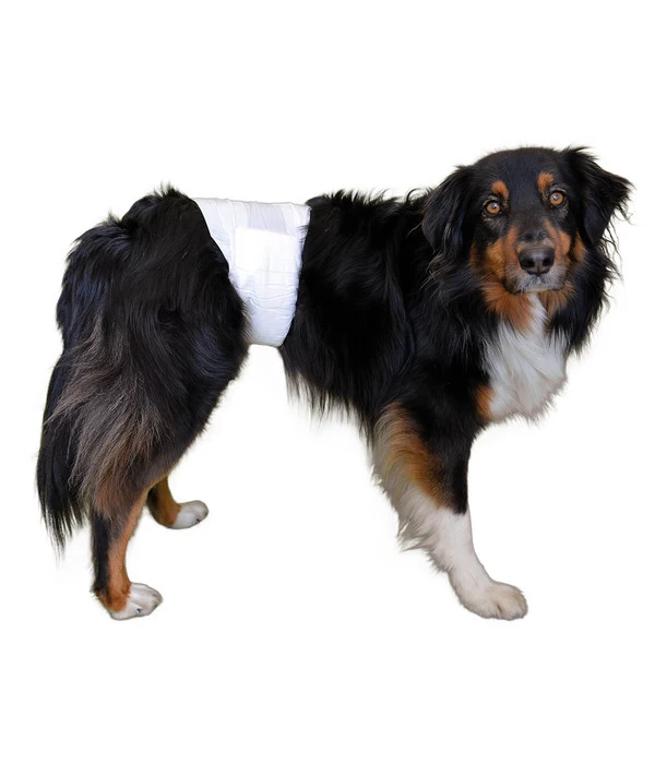 Vetlando® Hundehygiene Rüdenwindel 1 Vetlando® Hundehygiene Rüdenwindel