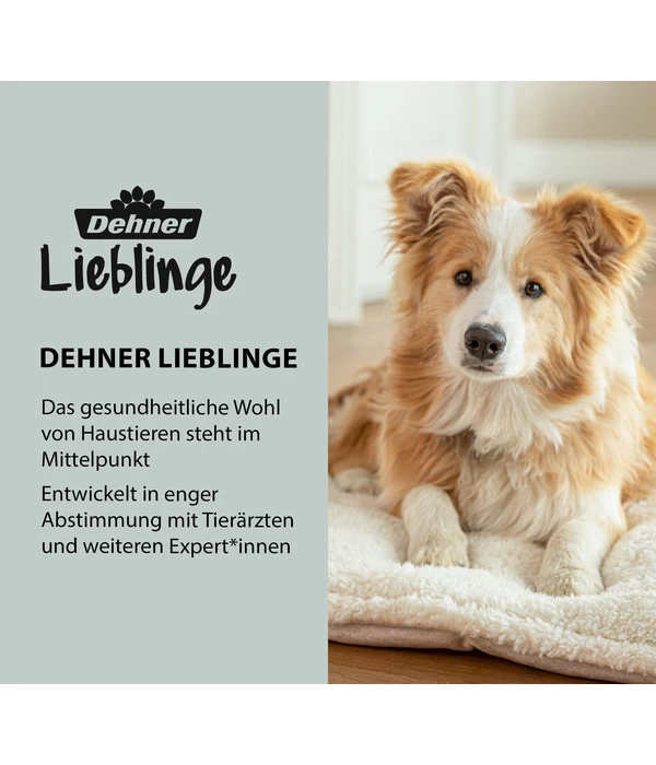 Dehner Lieblinge Gehhilfe Für Hunde 3 Dehner Lieblinge Gehhilfe Für Hunde – Bild 3