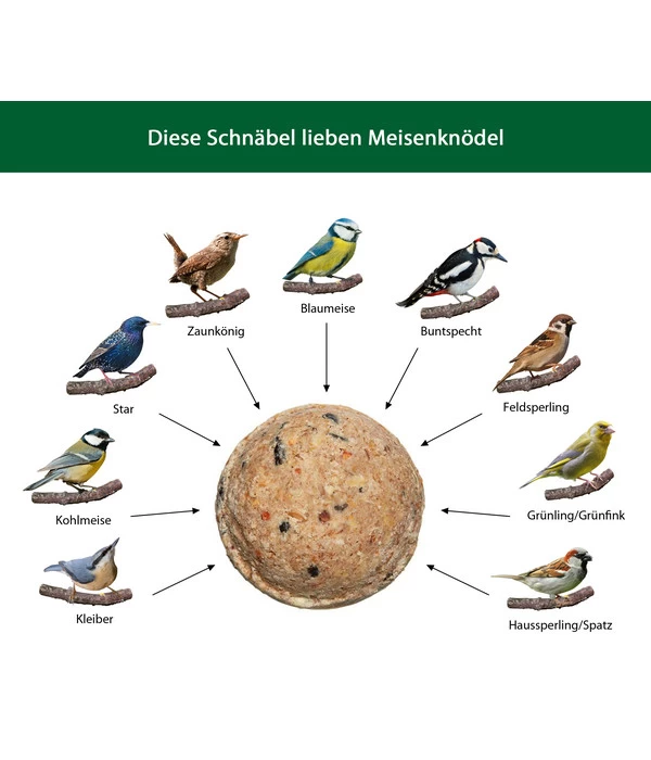 Dehner Natura Wildvogelfutter Meisen-Knödel, Mit Netz, 2 X 100 Stk. Je 100 G 4 Dehner Natura Wildvogelfutter Meisen-Knödel, Mit Netz, 2 X 100 Stk. Je 100 G – Bild 4