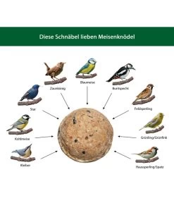 Dehner Natura Meisen-Knödel -Gardena Store WE IG 001 DehnerNaturaWelcherVogelfrisstMeisenknoedel