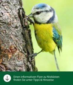 Dehner Natura Meisennistkasten 5 Dehner Natura Meisennistkasten -Gardena Store WE IG FlyergrafikDehnerNaturaNistkaesten 2